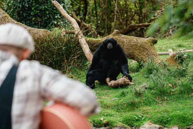 Campagne Branféré x Plumes